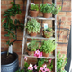 Illustration for article titled Repurposed Ladder Decor Ideas That You Will Love
